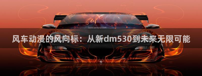 里番监禁动漫在线观看:风车动漫的风向标:从新dm530到未来无限可能配图