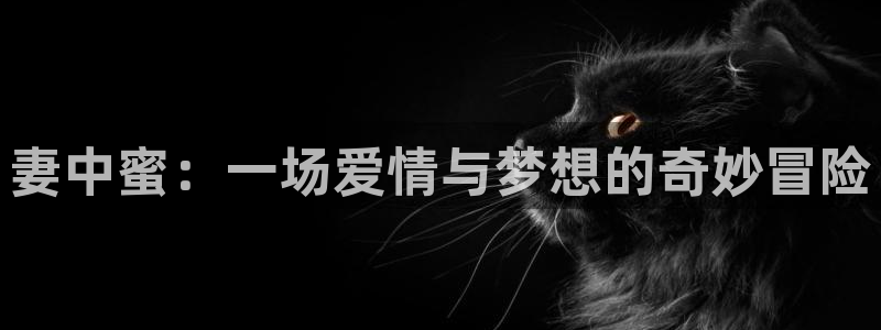 里番美晴动漫在线观看：妻中蜜：一场爱情与梦想的奇妙冒险配图