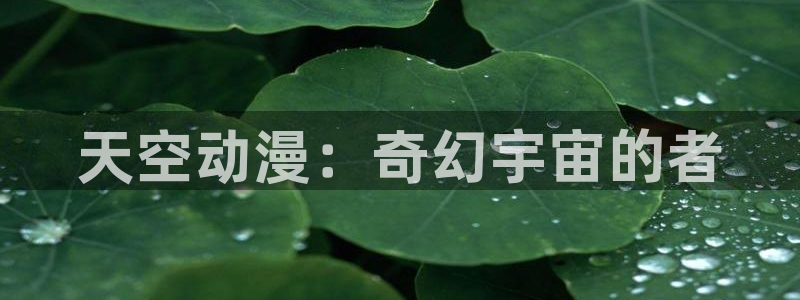 工口动漫里番在线观看：天空动漫：奇幻宇宙的者配图
