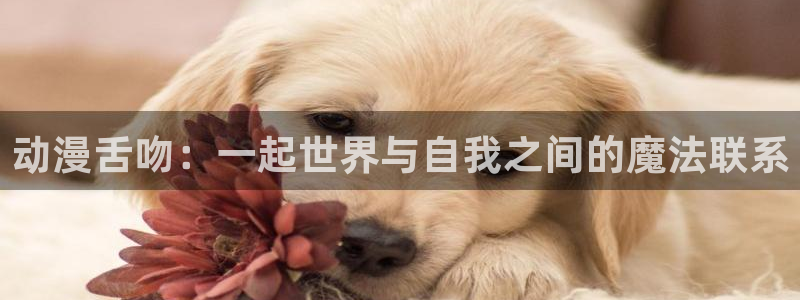 里番动漫在线观看安卓：动漫舌吻：一起世界与自我之间的魔法联系配图