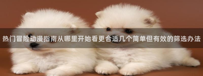 外番里番动漫在线观看:热门冒险动漫指南从哪里开始看更合适几个简单但有效的筛选办法配图
