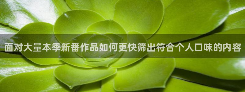 熟肉里番动漫在线观看:面对大量本季新番作品如何更快筛出符合个人口味的内容配图