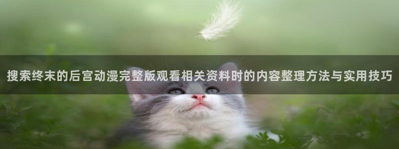 里番动漫在线视频观看：搜索终末的后宫动漫完整版观看相关资料时的内容整理方法与实用技巧配图