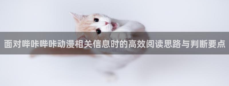 在线观看动漫里番：面对哔咔哔咔动漫相关信息时的高效阅读思路与判断要点配图