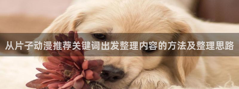 熟肉里番动漫在线观看:从片子动漫推荐关键词出发整理内容的方法及整理思路配图