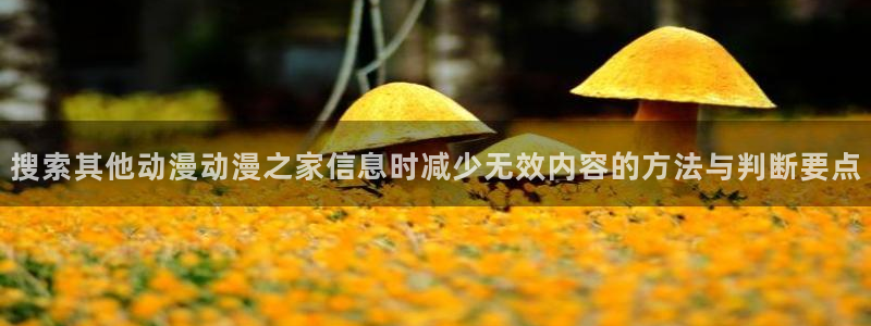 里番动漫在线观看i:搜索其他动漫动漫之家信息时减少无效内容的方法与判断要点配图
