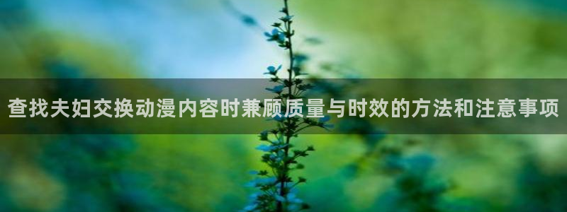 里番复仇动漫在线观看：查找夫妇交换动漫内容时兼顾质量与时效的方法和注意事项配图