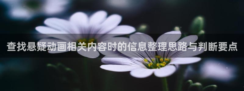 最新里番动漫在线观看：查找悬疑动画相关内容时的信息整理思路与判断要点配图