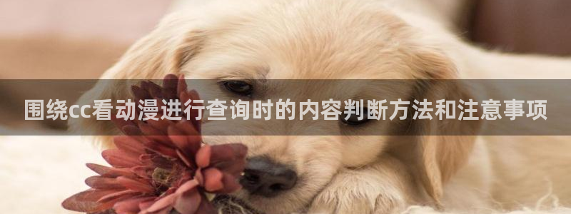 晚安动漫里番在线观看：围绕cc看动漫进行查询时的内容判断方法和注意事项配图
